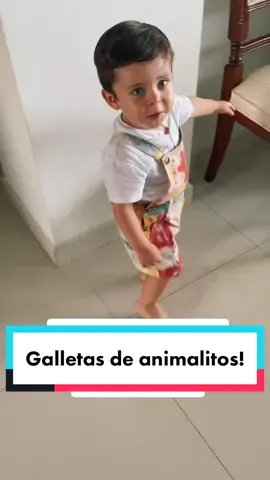 Galletas de animalitos Max del pasado (2 añitos) #galletasdeanimalitos #2años #babymax #bebejarocho #niñojarocho #jarochito #eljarochitoquetodosquieren #elniñodetiktok #elbebemasjarocho #elniñomasjarocho #todossomosmax #maxviral #fyp #fypシ #fypage #fypchallenge #fyppage #fypdongggggggg #fypp #fypge #fyptiktok #fypシ゚ #viral #hazmeviral #hazmeviraltiktok 