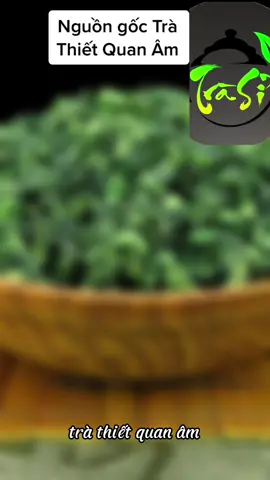 MỌI NGƯỜI CÓ BIẾT TRÀ THIẾT QUAN ÂM LÀ GÌ HOK Ạ ? #xuhuong #xuhuongtiktok #fyp 
