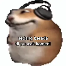 😅😅😅 