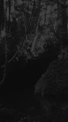 #ប្រូ_ឡាシ #មានថ្នាំអីលេបហើយបាត់នឹកអូន🥀💔 #អារម្មណ៍ពិត #ការឈឺចាប់គ្មានសំឡេង💔😥🥀 #fypシ #foryoupage #foryou  