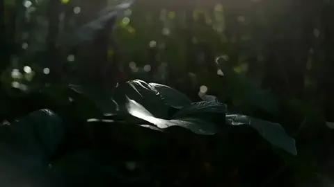 dengarkan dan resapi lagunya... ftg@HRN project22 #assalamualaikum #lagureligi #bismillahfyp #laguislami