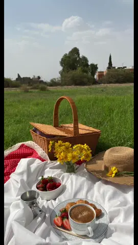 صباح الخير من قريتي الجميله#نزهه_صباحيه #نزهه #أجواء #صباحيات #trending_video #قريتي #تصويري📷 #طبيعه_خلابه #لايك_ #اعجابكم #like_follow #طلعوه #طلعوه_explore❤🙂 #لايك_متابعه_فولو #فراوله #نشرر #تصويري_احترافي_الاجواء👌🏻#جمال_الطبيعه  #ايفون11 #كاميرتي #حركه_ترند #هاشتاقات #نزهه_لطيفة🍃🧺 #صباح_الورد