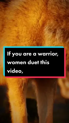 If you are a warrior, women duet this video #strongwoman🙋🏻‍♀️ #womenwolf #warriorwomenofgod #CapCut #motivationviral #lonewolf🐺 #tiktokwolfviral #fypシ #fyo