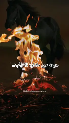 #اربد#ربابه #جمال_خليف #السعوديه #الامارات #الاردن #خالد_عبدالرحمن #تصويري 