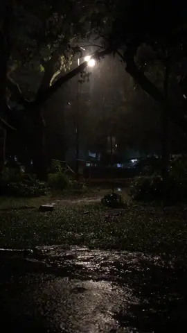 Gentle Rain at night for sleep, Insomnia, Study and Relax. Gentle Night Rain ( no music, no thunder) for 10 minutes. Feel better. Enjoy the gentle rain.Taken from the University of the Philippines- Diliman