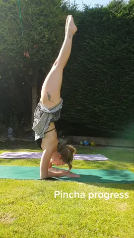 #yoga #pincha #forearmstand #breathe #wellness #Lifestyle #wellbeing