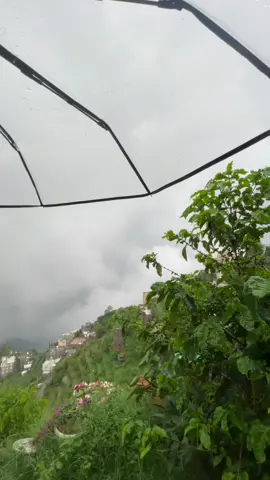 🥺🌦🍃 #Faifa 
