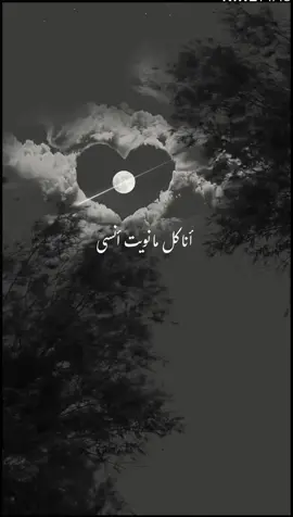 انا احبك 🌹#fyp #foryoupage #viral #انا_كل_ما_نويت_انساك #انا_احبك #الاردن_فلسطين_العراق_سوريا #الايمارات🇦🇪 #العراق #السعودية_تيك_توك #explore #حسين_الجسمي 