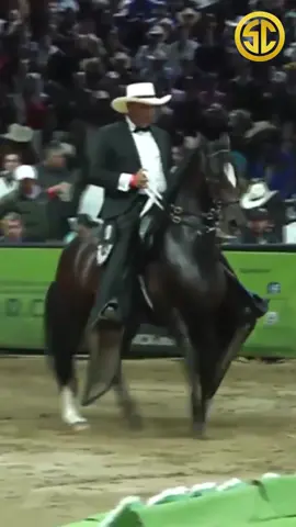 🏆PRIMER CAPÍTULO, TYFON DE SANTA ISABEL🏆 El ejemplar del momento en las cámaras de @suscaballos nos presenta su historia contada por @howard_de_la_suerte  🚨MUY PENDIENTES DE NUESTRAS REDES PARA CONTINUAR ESTA GRAN HISTORIA🚨