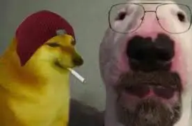 #wannabreakfromtheads #walterwhite #negraarroyalanealburqurquenewmexico87104 