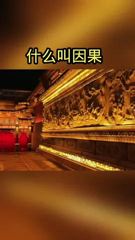 甚麼叫因果#因果 #因果応報 #善惡到頭終有報 #佛法