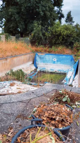 Abandoned pool needs bringing back to life! Whos helping? #thep00lguy #hollayaboy #fyp #abandoned