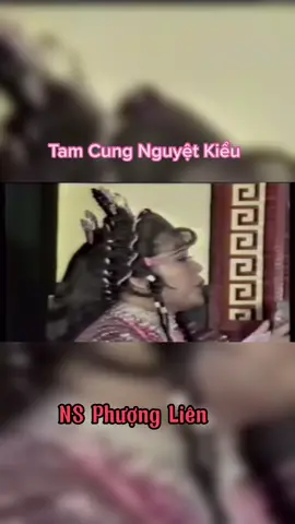#tamcungnguyetkieu #nsphuonglien #cailuongvietnam #cailuong #fyp #foryou #foryoupage