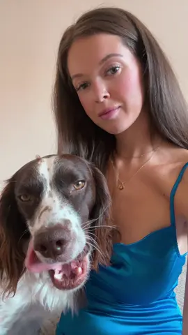 #cockerspanielsoftiktok #cockerspaniel 