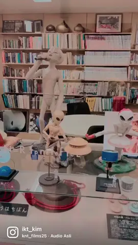 #japan🇯🇵 #kenshuseijapan🇮🇩🇯🇵🎌 #healing #sampaipusingngeditnya🥴