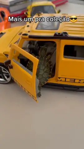 tartaruga também anda de carro #fyp #tartaruga #Donatello #carro#fyp #fyp #fyp #fyp #fyp #fyp
