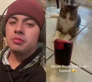 #dúo con @queenoftheni8th #josuedamas27