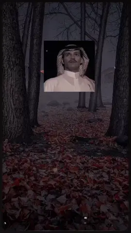 آنا والحيرة وشوقي في زحامياكثر ماجاء على بالي كلامافكار توديني وتجيباهوجس بعيد بعيد وقريبياهل ترى بيننا خصام؟💔🎶