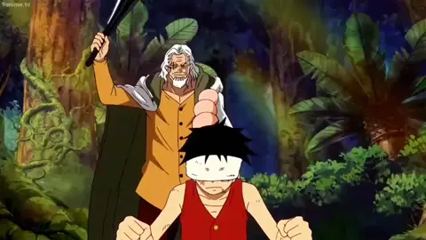 sifu Rayleigh #onepiece #luff #rayleigh #wano #timeskip #kenbunshokuhaki #dodges #animeedit #fypシ #yakuzasquad #xyzbca