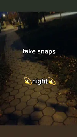 #fyp #fyp #fyp #fakesnaps #night