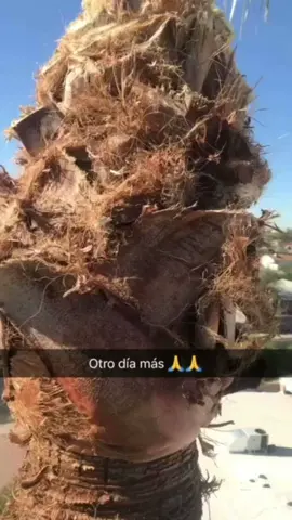 😎😎