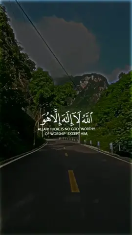 #الله_لا_اله_الا_هو_الحي_القيوم 