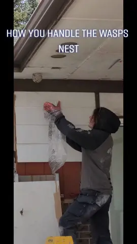 The bravest man you will ever meet. #wasp #waspnest #brave #electrician #tradie