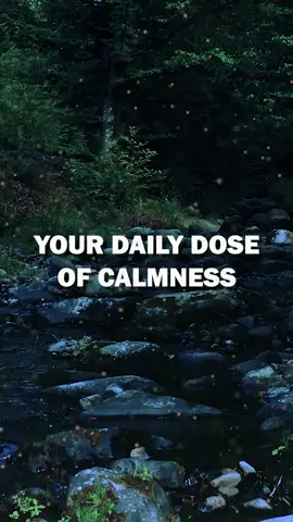 Your Daily Dose of Calmness #meditation #meditate #breathe #breath #breathingexercise #breathingtechnique #478 #478breathing #daily #DailyRoutine #dailycalm #dailybreathing #countdown