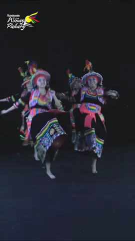Califica nuestra nueva #coreografía ☺️ #wiñaypakari #academiadebaile  #academiadedanza #baileandino #balletandino #musicaandina #amaru #tinku #tinkus #bailetinkus #baile #viral 