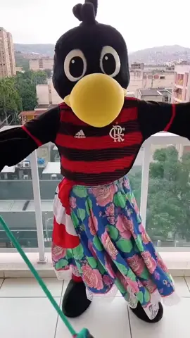 VOANDO PRO PARÁ ❤️🖤 #voandopropara #belemdopará #urubu #flamengo #fypシ