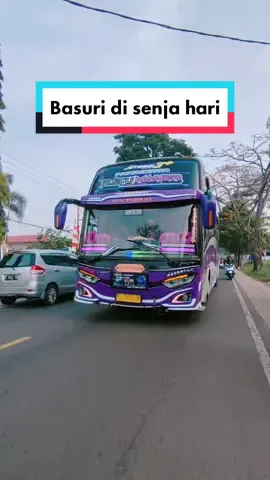 Ratu Maher membasuri jalur😂 #basurihorn @official.ratumaher013 #bismania #telolet