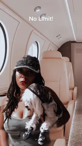 #nolimit #nolimits #doglovers #dogsoftiktok #tiktokdogs #maltese #PetsOfTikTok #petlover #fy #fyp #fypシ #fypage #fypシ゚viral #fypdongggggggg #fypp #fyy #fypdong @PEW PEW PEW 