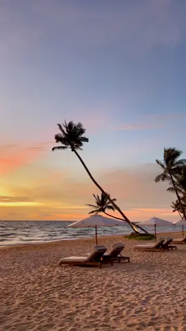 Cảnh sunset tuyệt đẹp ở đảo Phú Quốc. #phuquoc #travel #review 
