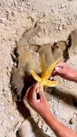 Treasure 