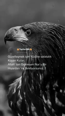 #ağırsözler#raconsözler#keşfetduasılütfentutsun#barbaraderegil#barbarsaplar#ilyascakırbeyli#hız#eşkiyadünyahükümdarolmaz#eşim#keşfetteyizz#çakal#aybüke#thomasraggi#thomasshelby#yorgunboos#edit#ircs#lirikvideo#pubgmo#pubgmezarcı#coffinpubg#capcut#alightmotionedit#bangladeshtiktokofficil#rep#hidradenitissuppurativa#okonomikkriz#konuşanlarexxen#çukursahneleri#biyografisözleri#hüzünlü#yaralı#ölümlüdünya#twiterwintage#ölümlüdünya#fypdong#twitersözleri