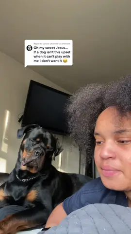 Replying to @Jesse Okonek I think it’s clear who he loves more 😭😂 #rottweiler #rottweilersoftiktok #PetsOfTikTok #WorldPrincessWeek #AEJeansSoundOn #rottiesoftiktok #rottiepurr #rottiemom #rottweilerpuppy #rottweilerlife #rottweilerfamily #rottweilerlove #rottierumble