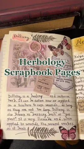 These are some of the better pages imo #hptok #harrypotter #harrypottertiktok #hogwarts #darkacademia #lightacademia #shifttok #shifting #shiftingvisuals #scrapbooking  #scripting 