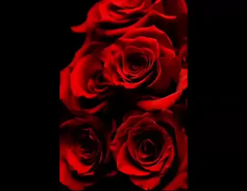 mahad#foryou #viral #happybirthdaytoyou #AikArielBees #NewPepsiHitMeLike