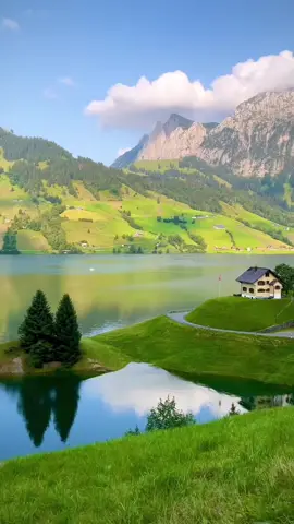 #صباحكم_أحلى_صباح #فيروزيات_الصباح #سويسرا🇨🇭ترند #سياحة_حول_العالم #جمال_الطبيعة #islam_azouz 