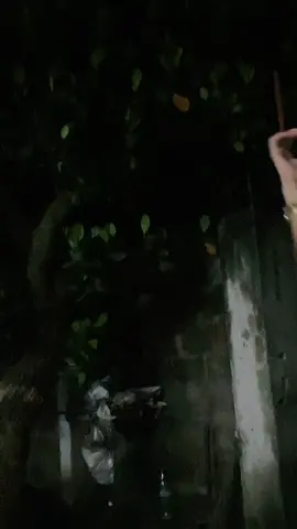 #cy 😜😜