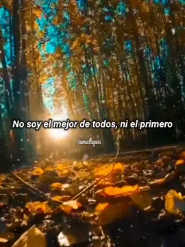 TE PAGARÉ CON AMOR #nikkoponce #tepagareconamor #letra #parati #conamor #rolitas #musica #romantica #sumacllapuni