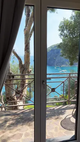 This view though…