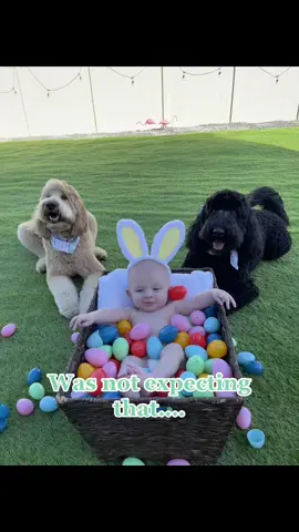 Was not excepting that many views…. #babyfever #babiesoftiktok #cutebaby #firstbaby #firsttimemom #babyboy #babylove #naughtybabies #easter #babiesfirst #fyp