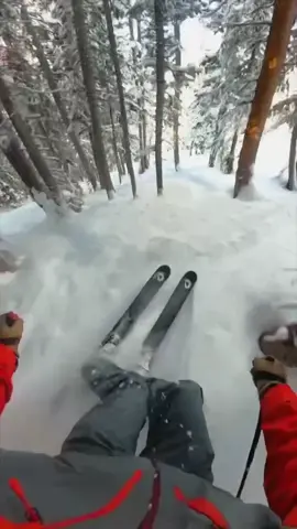 Tight turns 🌲 credit: @slampsonite #ski #skiing #fyp #foryou 