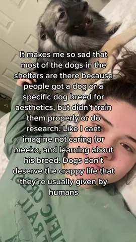 I feel bad for all the dogs honestly #fyp #PartyWithVMAs #dogs #shelterdogs #keeshond #meeko #shelter #DogTraining