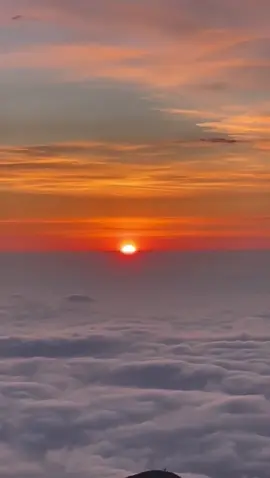 💛 Little things mean a lot 💛.                    #viraltiktok #fyyyyyyyyyyyyyyyy #mundo #ecuador #sunset #atardecer #littlethings #cielo #sol #sunsets #atardeceres #fypシ #cielosbonitos #hearmenow #alok