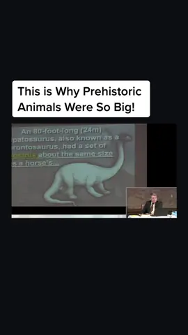 The reason why prehistoric plants & animals were so big! #christiantiktok #based #evidence #conspiracy #foryoupage #bible