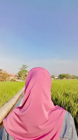 #CapCut persawahan😂#sukoharjo #fyp