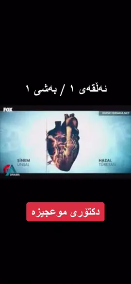 #foryou #foryoupage #foryourpage #fyp #fypシ #hawler #slemani #bukitaza #fyp #hawler_slemani_dhok_karkuk_hallabja #bukitazaa #koptagall #comede #komedya #buki #taza #flm #kopptagal #hawler_kurdistan #dramaybukitaza #kopptagal #hawler_slemani_dhok_karkuk_hallabja #flm #buki #taza #kalar_halabja_slimane_kurdistan #hwler_slemani_kirkuk_dhuk_halbja_ssor #fypシ #answer #foryoupage #foryourpage #fyp #fypシ #hawler #slemani #hawler_kurdistan #dramaybukitaza #flm #bashikotaye #soran_hawler_kurdistan_iraq #uk #irland #india #taeland #dhok #masif__official #buki.#taz #karkuk_slemani_hawler_chamchamal_ #london #manchester #unitedkingdom #france #farance_av #slemani_hawler_dhok_kerkuk_text_r #mosul #turkey #ukrania #bahrka_kore_masif_hawler #soran_hawler_slemani_karkwk_dhok_zaxo #😂 #❤️ #fypp #fypage #iraq #iraq_duhok_hewler_slemani_hawler #duhok_zaxo_amedi_semel_akre #zaxo_duhok_hewler_slemani_hawler #amedi_deralok_sheladz_duhok_semel_zaxo #hhhhhhh #akre_hawler_slimani_karkuk_pirmam_tanahi #لایکی_ڤیدیۆکە_بکەن_وەک_هاوکاری #لایک_و_فۆڵۆم_بکەن_بۆ_بەردەوام_بوون #فۆلۆمان_بکەن_بۆ_بێنینی_جوانترین_پۆست #کۆمێنتی_جوان_ڕیپلەی_دەکەم 