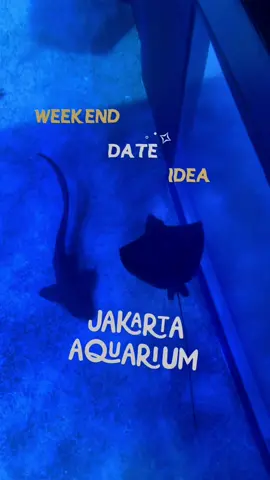 Weekend di rumah aja ❌  Weekend ngedate ke Jakarta Aquarium ✅  #explorejakarta  #recommendplace  #jakartaaquarium #dateideas #WeekendVibes 